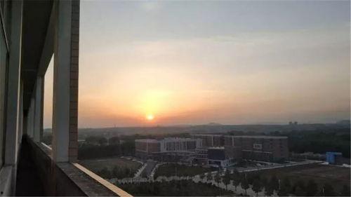 南阳师院爆料视频最新,揭秘校园内幕