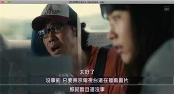 日本电视五级在线观看,解锁精彩瞬间